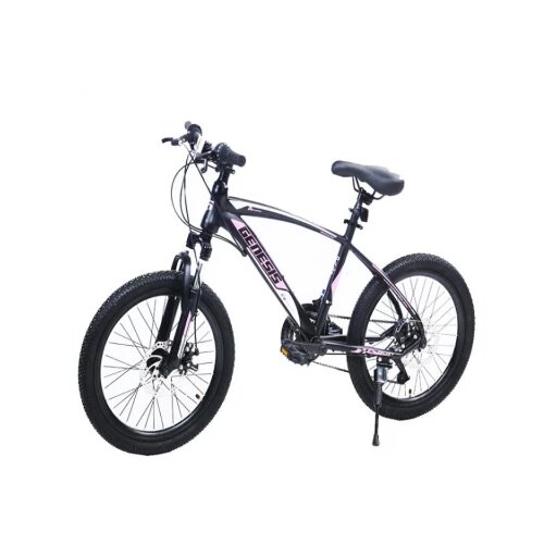 Winner Bike Bicikle BIC.20&amp;quot;/6 SUS GENESIS VALVET Slike