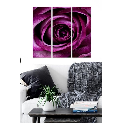 Wallity Set slika MDF66809, 3 dijela Cene