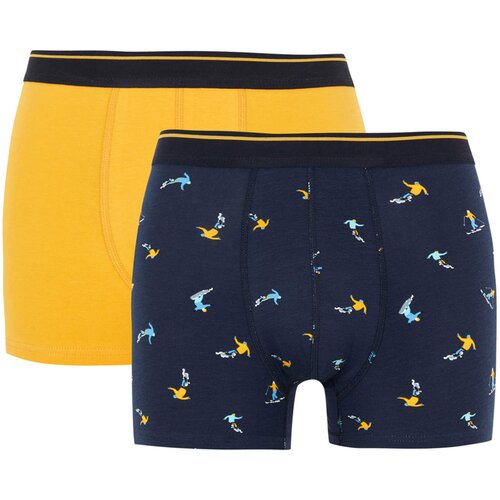Defacto 2 piece Regular Fit Knitted Boxer Slike