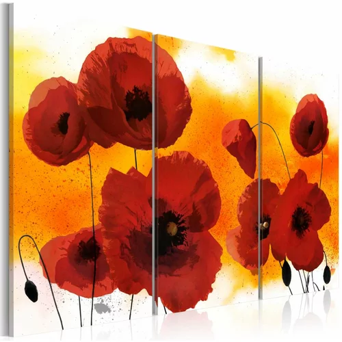  Slika - Sunny afternoon and poppies 120x80