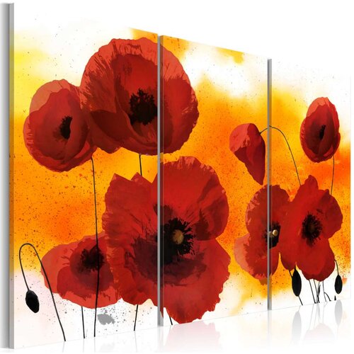  Slika - Sunny afternoon and poppies 120x80 Slike