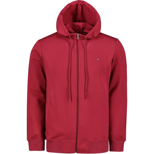Aliatic Men's hoodie Cene