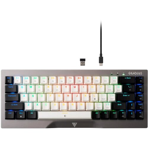 Gamdias Tastatura Hermes M4 Hybrid Mehanička RGB Cene