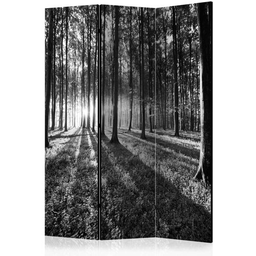  Paravan u 3 dijela - Grey Wilderness [Room Dividers] 135x172 Slike