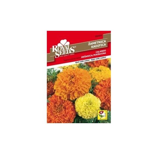  Kadifica niska Calando Royal Seeds Cijene