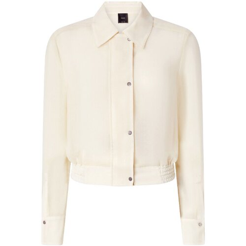 Pinko Srajce & Bluze 104787A21F Bež Cene