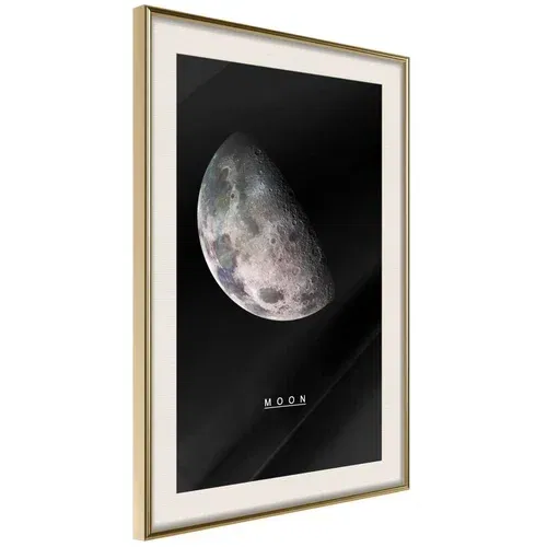  Poster - The Solar System: Moon 40x60