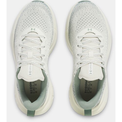 Under Armour Women's shoes UA W Infinite - Women's Cene