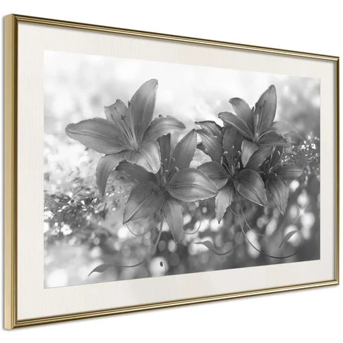  Poster - Dark Lillies 45x30