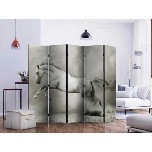 Artgeist Paravan Wild Stallion I, 5-Delni, Dvostranski Slike