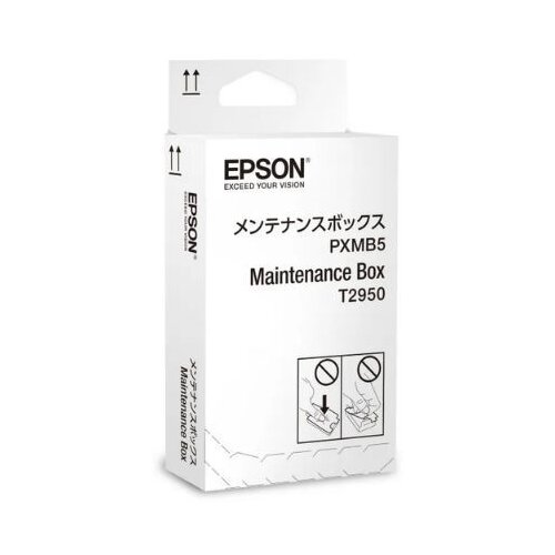 Epson Patrona C13T295000 Cene