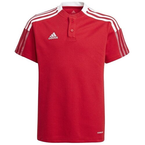 Adidas Polo majice kratki rokavi Tiro 21 Polo Rdeča Slike