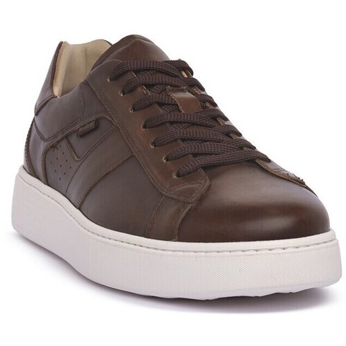 Nero Giardini Nizki čevlji 412 Delavato Kostanjeva Cene