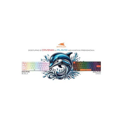 White Shark Baracuda BGK 03211 DOLPHIN White Mehanicka - US Slike