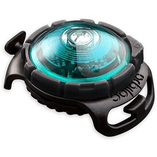 Orbiloc LED lučka za ovratnico Turquoise - Cene