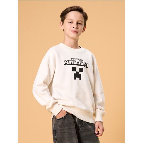 Sinsay Crewneck majica Minecraft Cijene