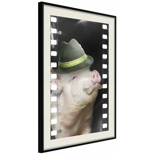  Poster - Dressed Up Piggy 20x30