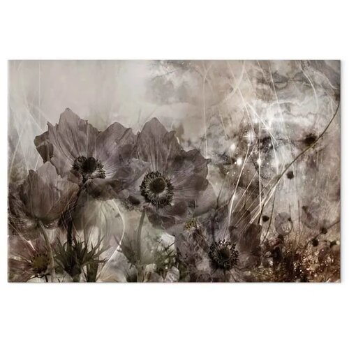  Slika - Anemones in Sepia (1 Part) Wide 90x60 Slike