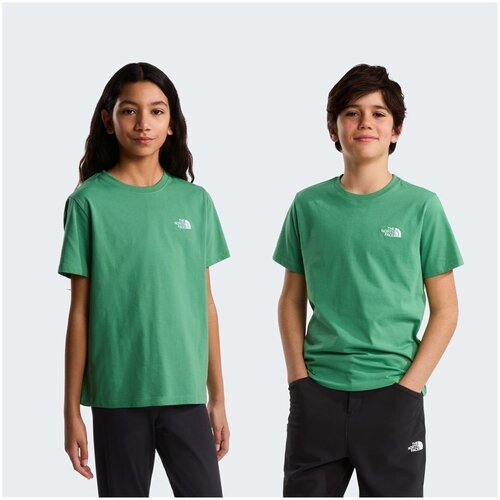 The North Face Majice s kratkimi rokavi NF0A8F9ZG571 Zelena Cene