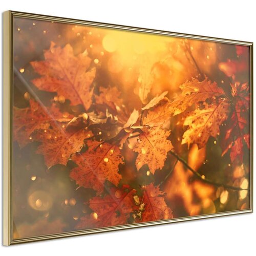  Poster - Golden Autumn 60x40 Cene