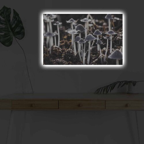 Wallity Slika sa LED osvetljenjem 4570DHDACT-135, 45x70 cm Cene