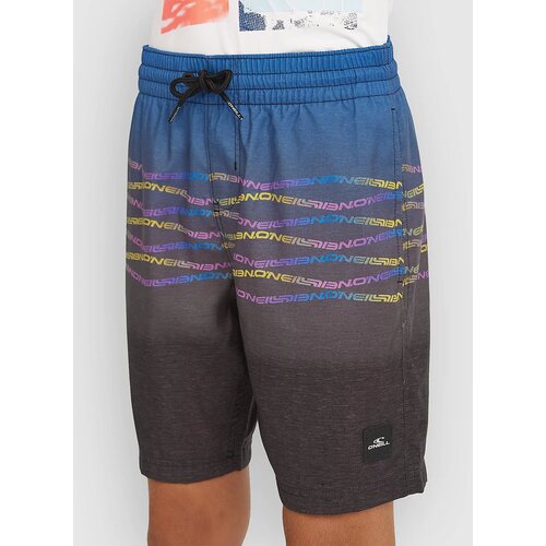O'neill Print Kids Boardshorts boys blue heritage fl fl Cene