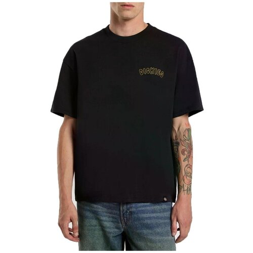 Dickies Majice s kratkimi rokavi DECARTUVILLE Črna Slike