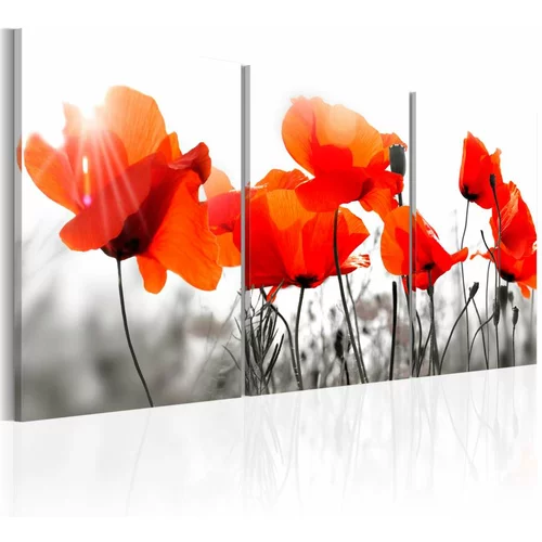  Slika - Charming Poppies 60x30