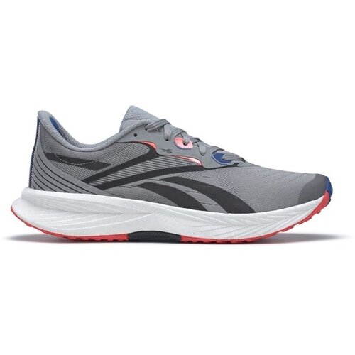 Reebok Tek & Trail Floatride Energy 5 Siva Cene