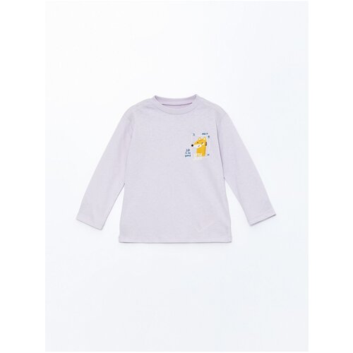 LC Waikiki Crew Neck Long Sleeve Printed Baby Boy T-Shirt Slike