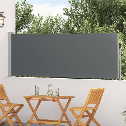  Retraktabilna bočna tende Antracit 300 x 100 cm Poliester Cene