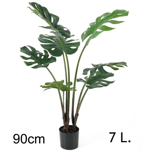Lilium filadendron 90cm, 7 listova,567268 | Eponuda.com