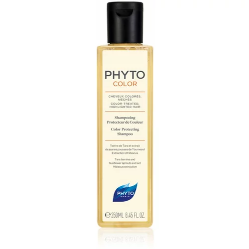 Phyto Color Protecting Shampoo šampon za zaščito barve za barvane lase in lase s prameni 250 ml