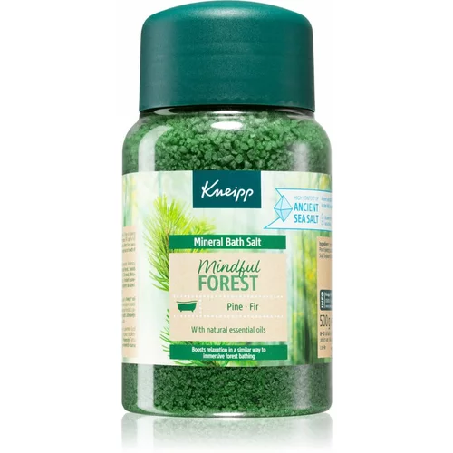 Kneipp mineral bath salt mindful forest pine & fir pomirjujoča solna kopel z vonjem bora 500 g