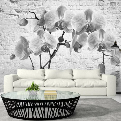  tapeta - Orchid in Shades of Gray 100x70