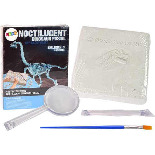  Archaeology Excavation Kit Dinosaur Skeleton 3D Brachiosaurus Hologram Cene