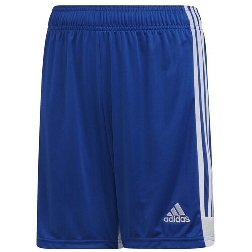 Adidas Hlače 3/4, 7/8 Tastigo 19 Modra Slike
