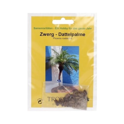 TROPICA Pritlikava datljeva palma Cene