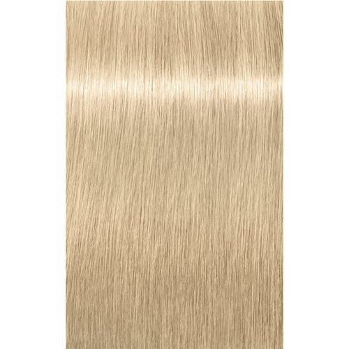 Schwarzkopf IGORA Royal Highlifts trajna boja za kosu nijansa 12-1 Special Blonde Cendré 60 ml Cijene