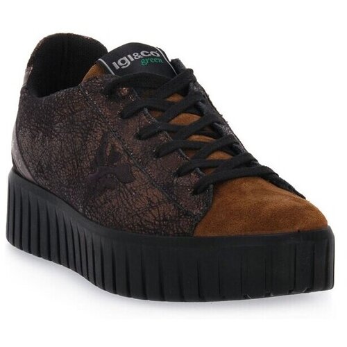 IgI&amp;amp;CO Bronzo Ares Smeđa Slike