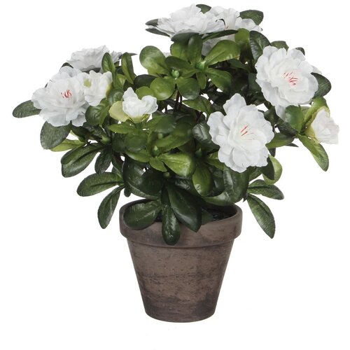 MICA Umjetna biljka Azalea (Visina: 27 cm, Bijele boje, Plastika) Slike