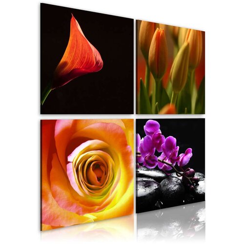  Slika - The essence of beauty 90x90 Slike