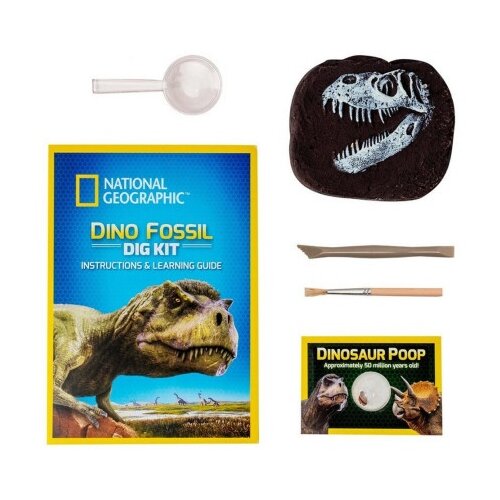 Nacionalna geografija dino iskopavanje fosila ( 1039628 ) Slike