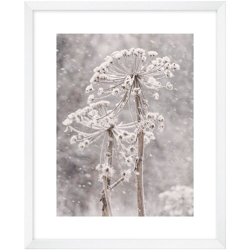 knor slika 40x50 cm - knor Cijene