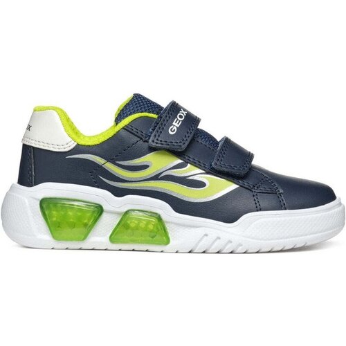 Geox - Plava Slike