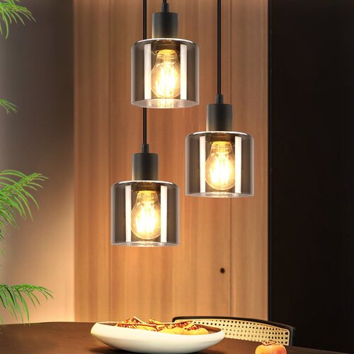 Nettlife Črna Steklena Viseča Svetilka Diam.26cm E27 3 Žarnice Vintage Industrijska Nastavljiva Višina, (22123058) Cene