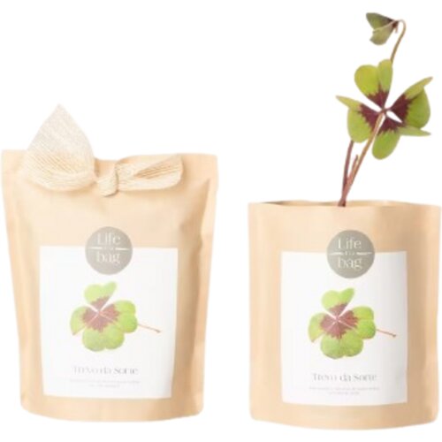Life in a bag Grow Bag "Detelja za srečo" - 1 k. Cene