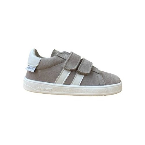Pirufin Nizke superge PF209-1 Gris Siva Cene