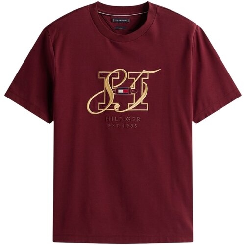 Tommy Hilfiger Majice s kratkimi rokavi DIWALI INTERLOCK HBS MW0MW39569 Rdeča Cene