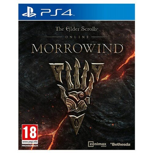 Bethesda PS4 igra The Elder Scrolls Online: Morrowind Slike